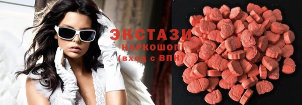 индика Арсеньев