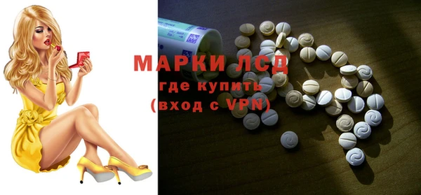 индика Арсеньев