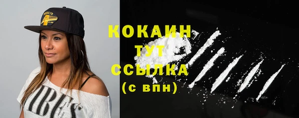 бошки Ельня