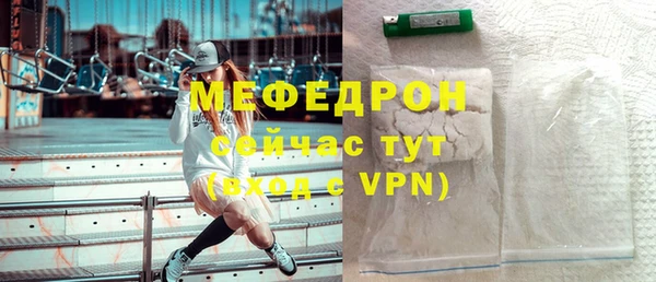 индика Арсеньев